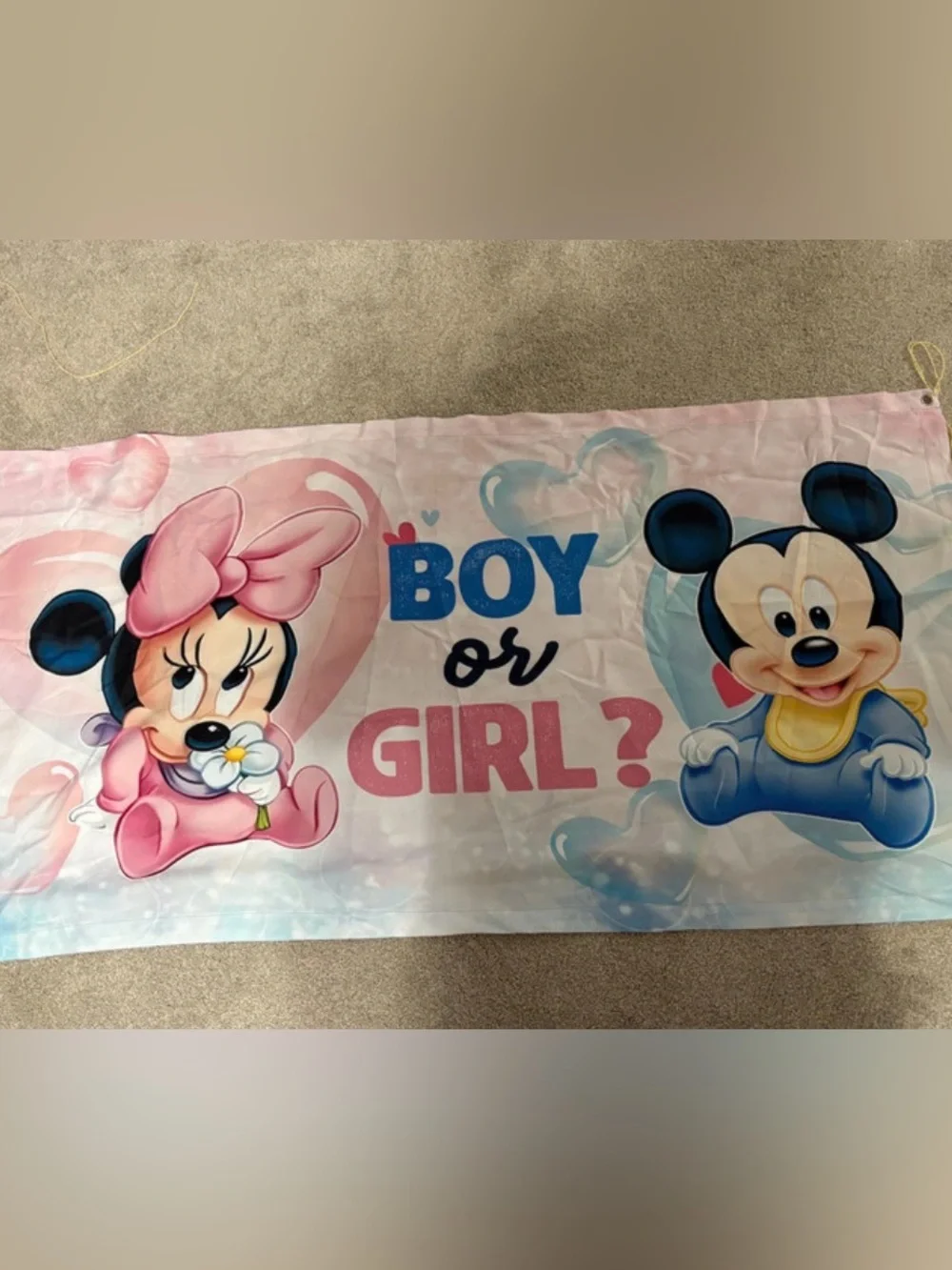 Gender Reveal Banner - Pink and Blue